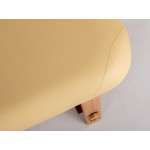 Επαγγελματικό Κρεβάτι Beige Μασάζ Αισθητικής Φυσικοθεραπείας Luxury 4